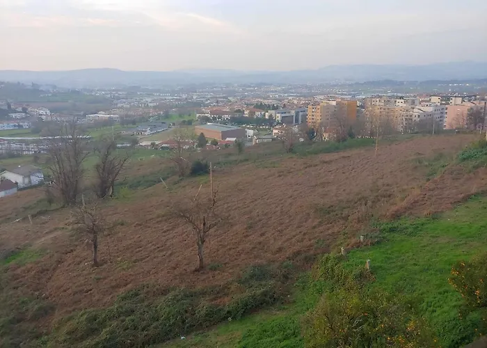 ホームステイ Bossa Nova